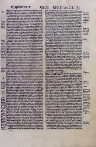 31r