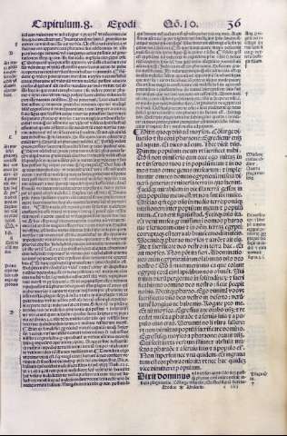 36r