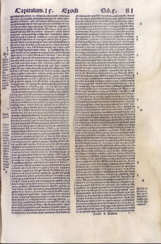 81r