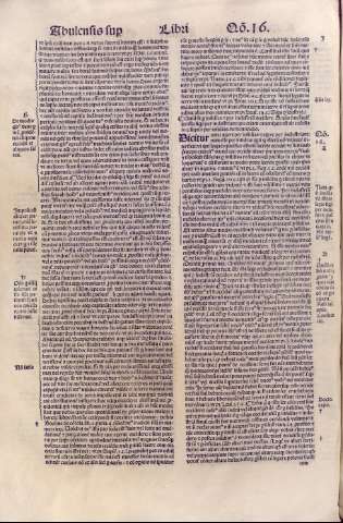 141v