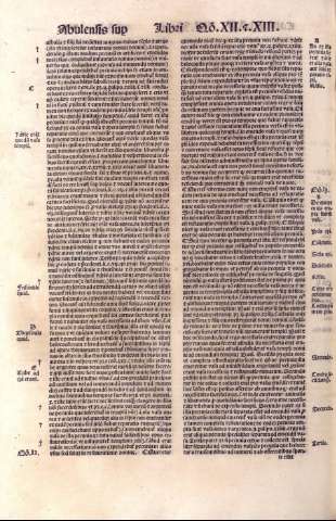 95v