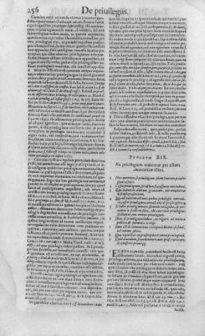 256