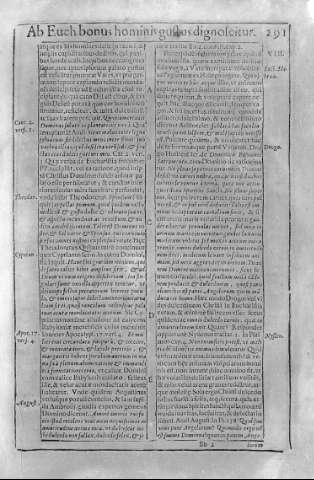 291