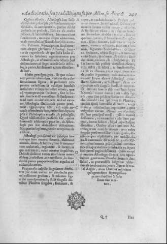 241