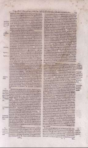 135