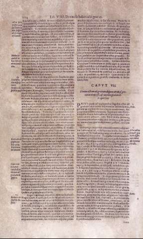 204