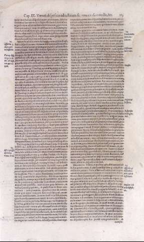 213