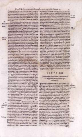 251
