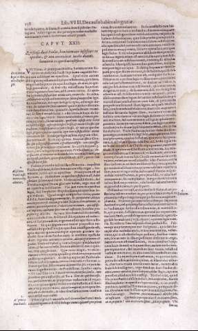 258