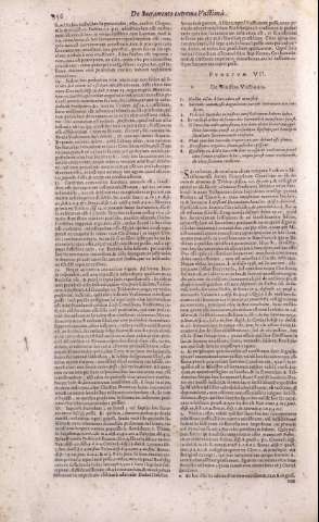 256