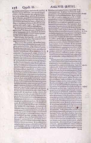 256