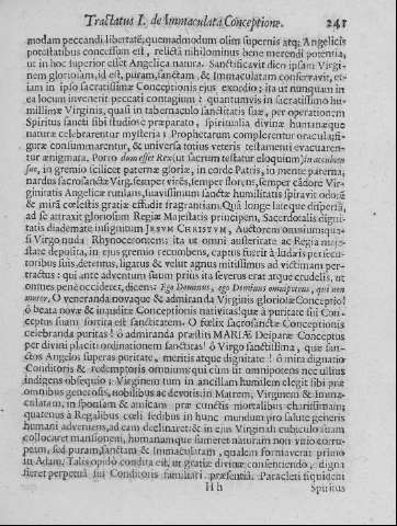 241