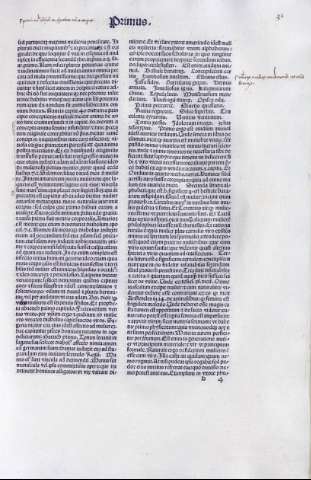 31r