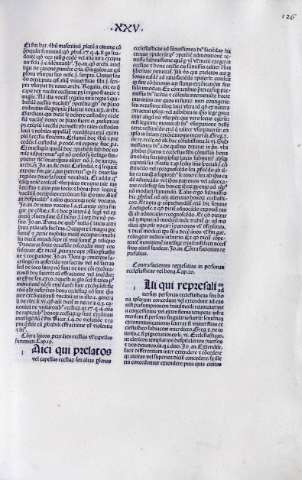 126r