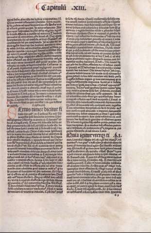 ii 3