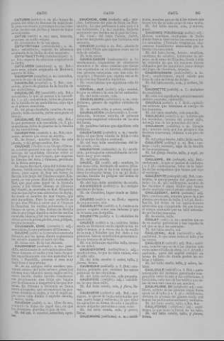 241