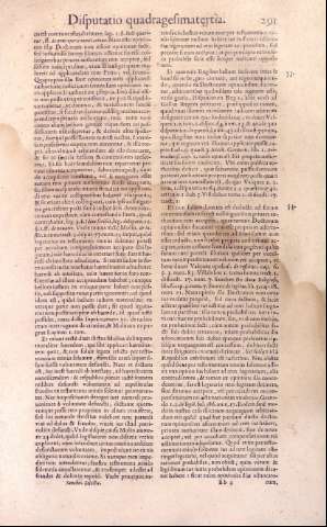 291
