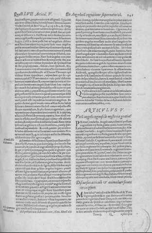 241