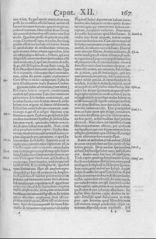 167