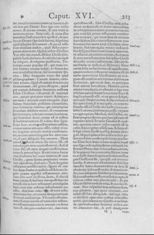 213
