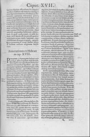 241