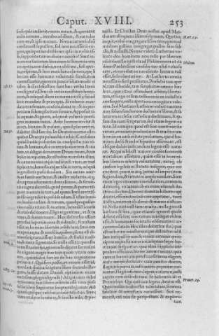 253