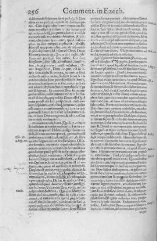 256