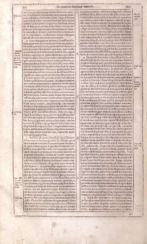 919-920