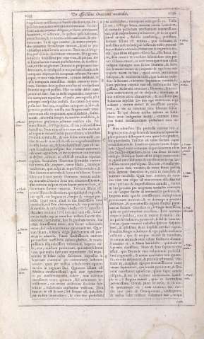 1035-1036