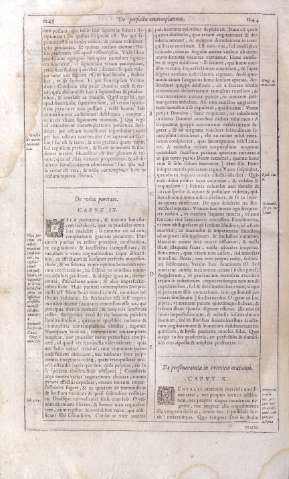 1243-1244