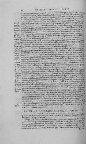 292
