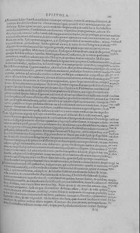 293