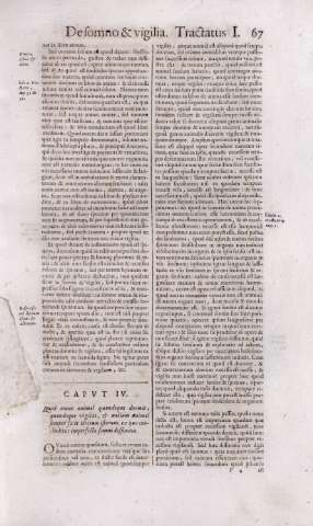 67