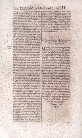 104