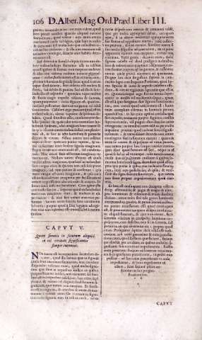 106