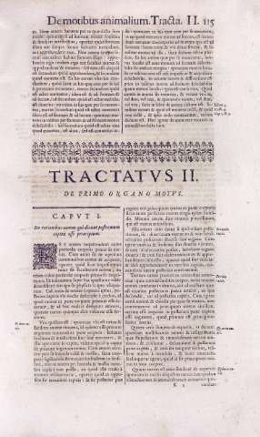 115
