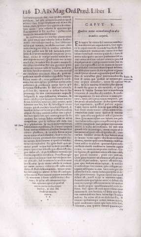 126