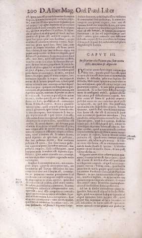 200