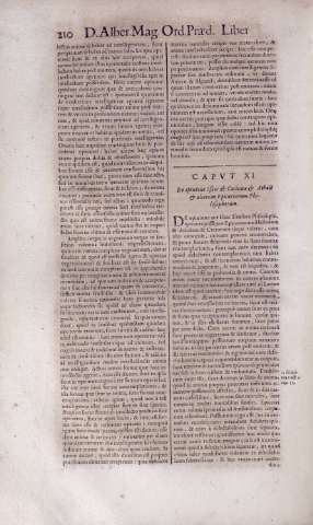 210