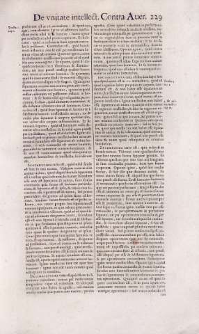 229