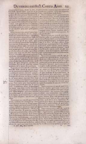 231