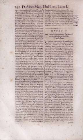 242