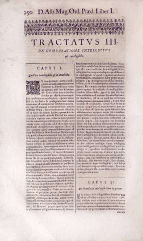 250