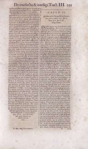 255