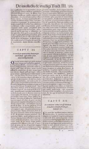 261