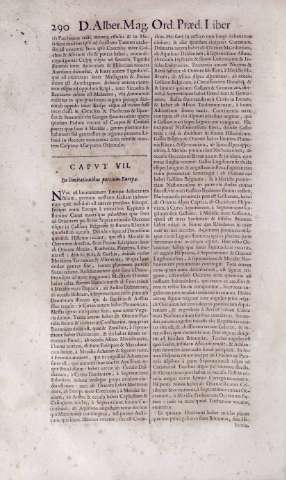 290