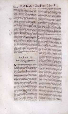 294