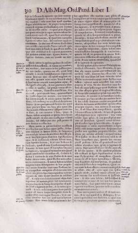 310