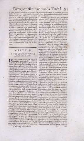 351