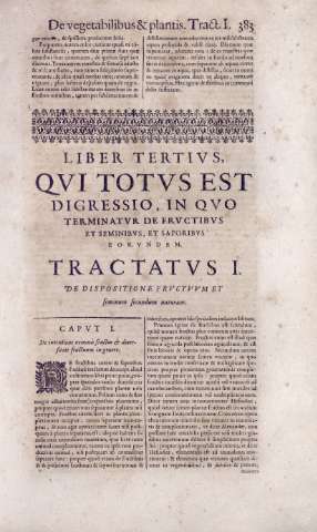 383
